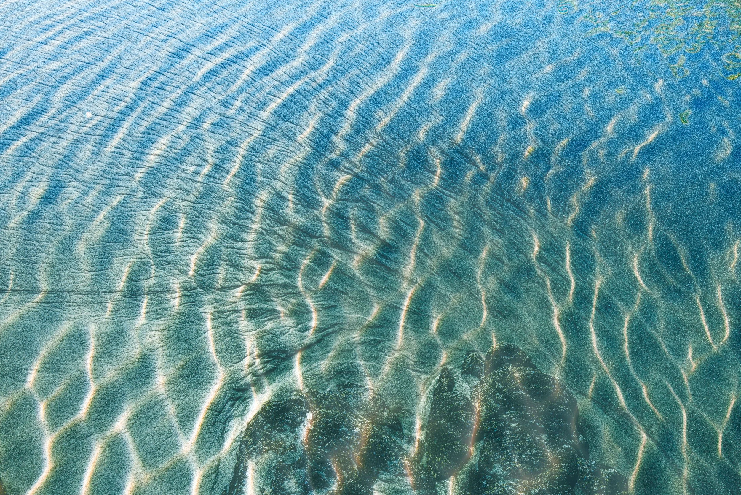 IMG_3050_crop copy.jpg