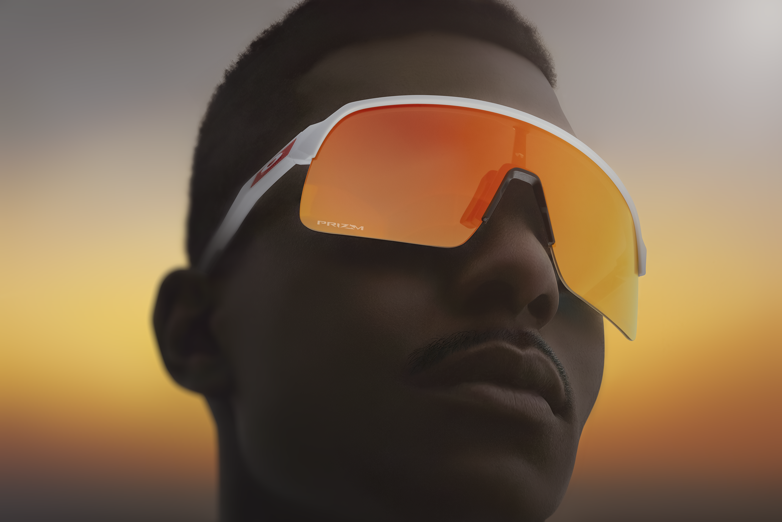 Fin.png