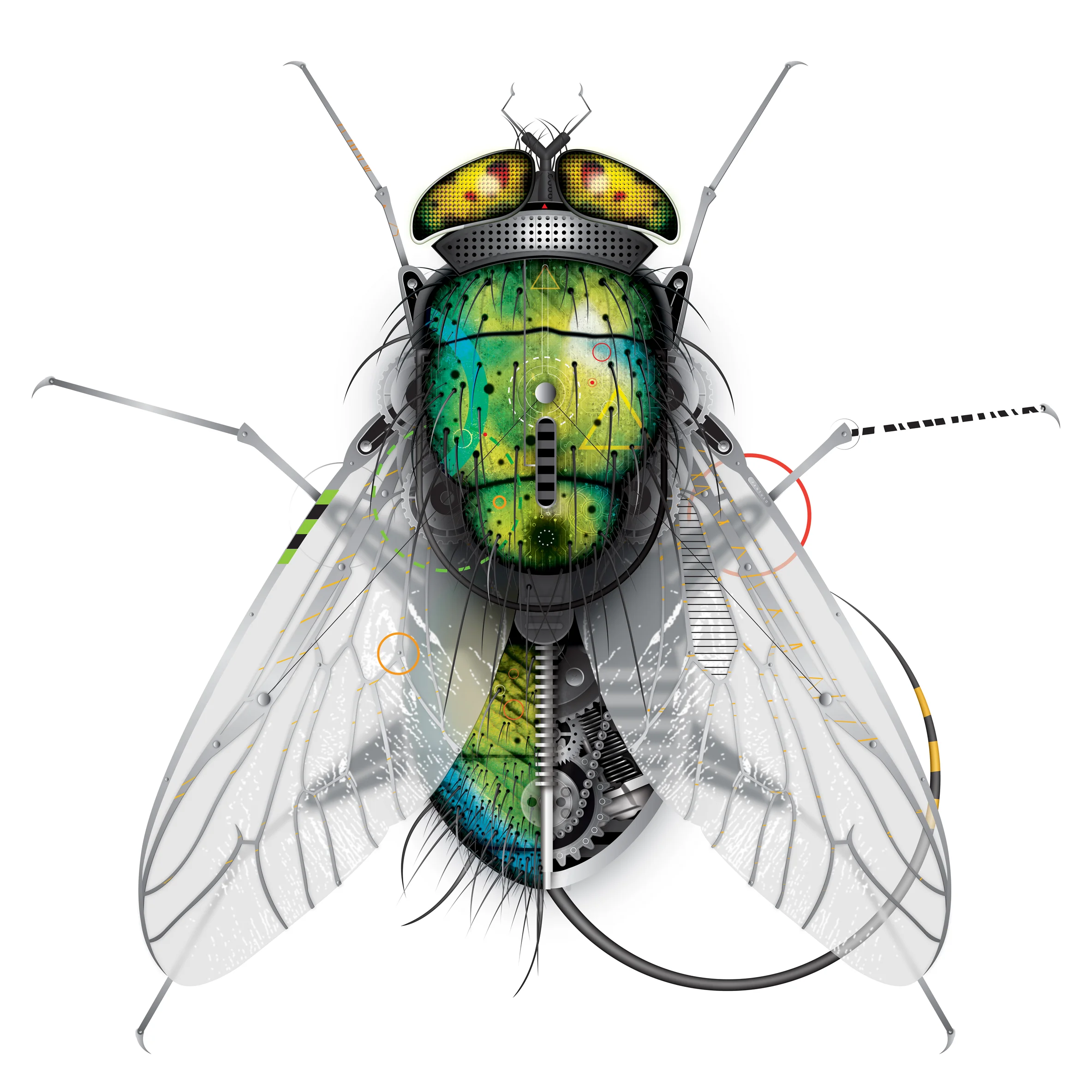 FLY_thumbnail.jpg