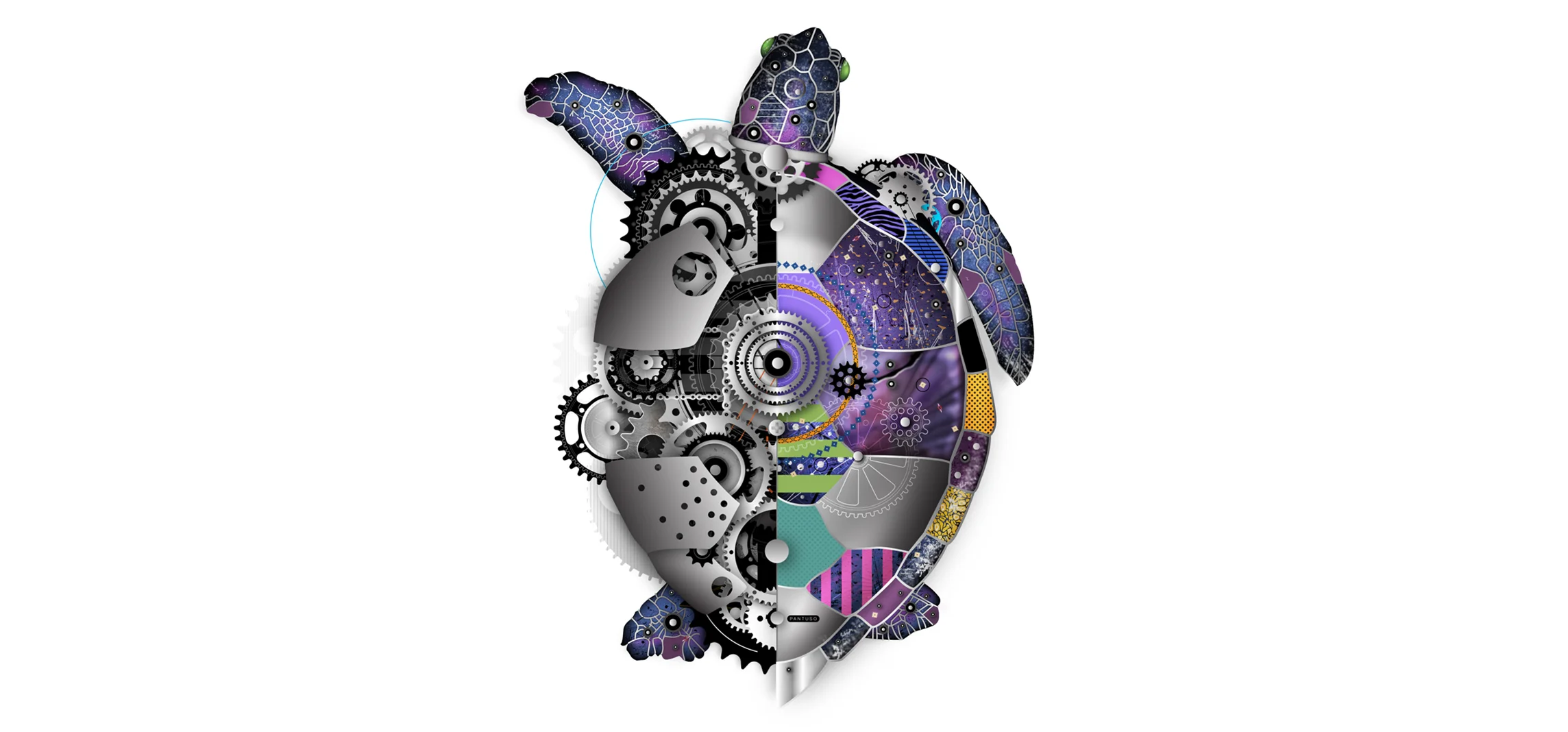 NEW_MASTER_TURTLE.jpg