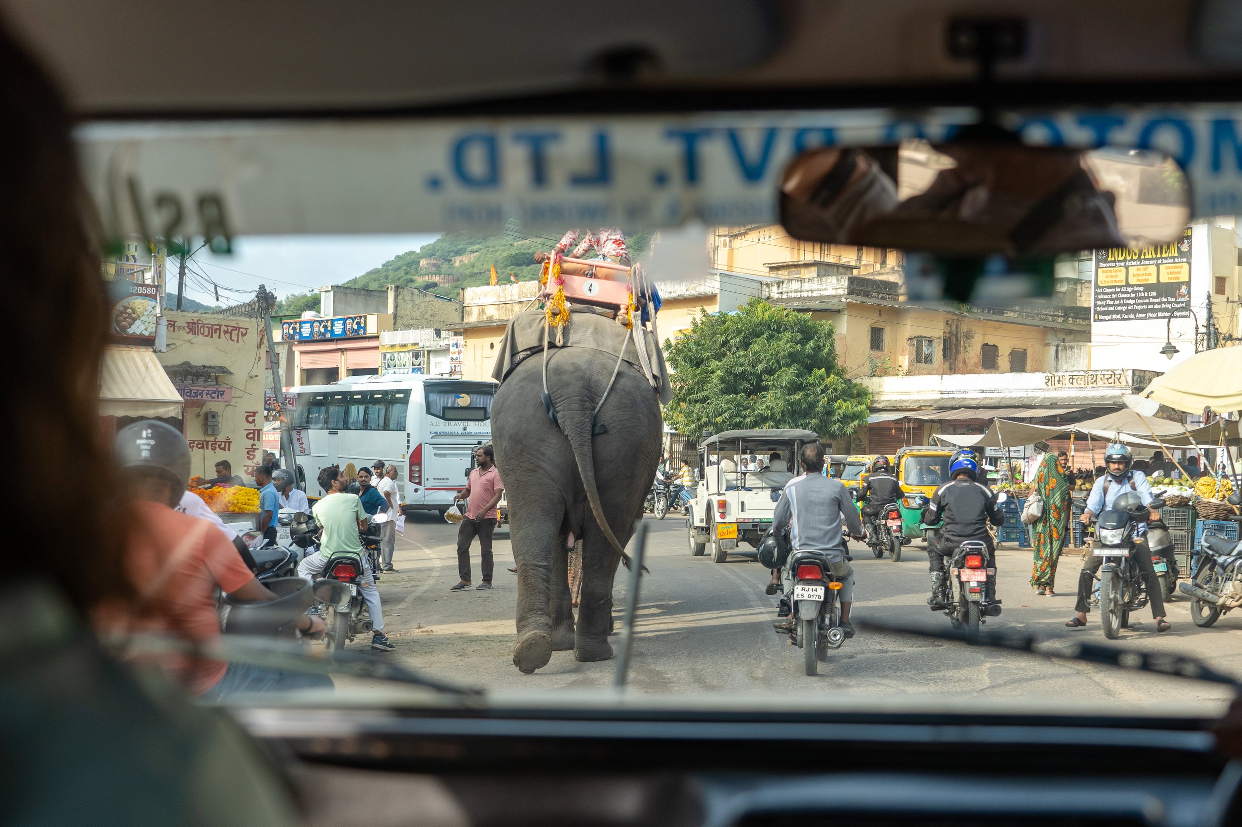 DSC04410_sRGB-2 (1).jpg