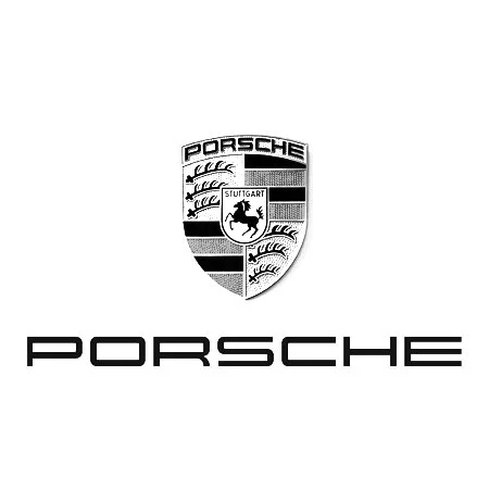 Saam_Gabbay_Porsche.jpg