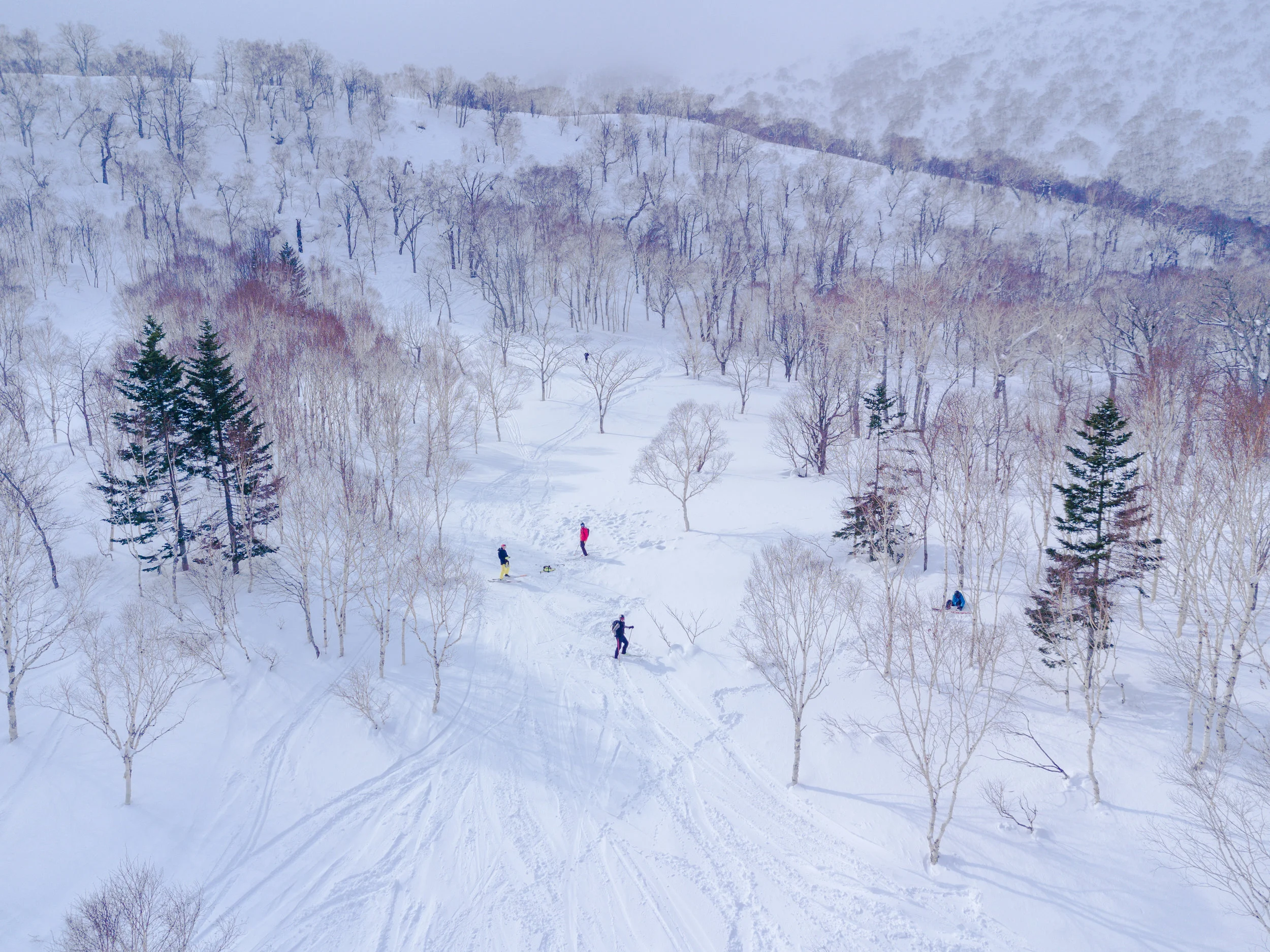 Japan_2017-DJI_0444.jpg
