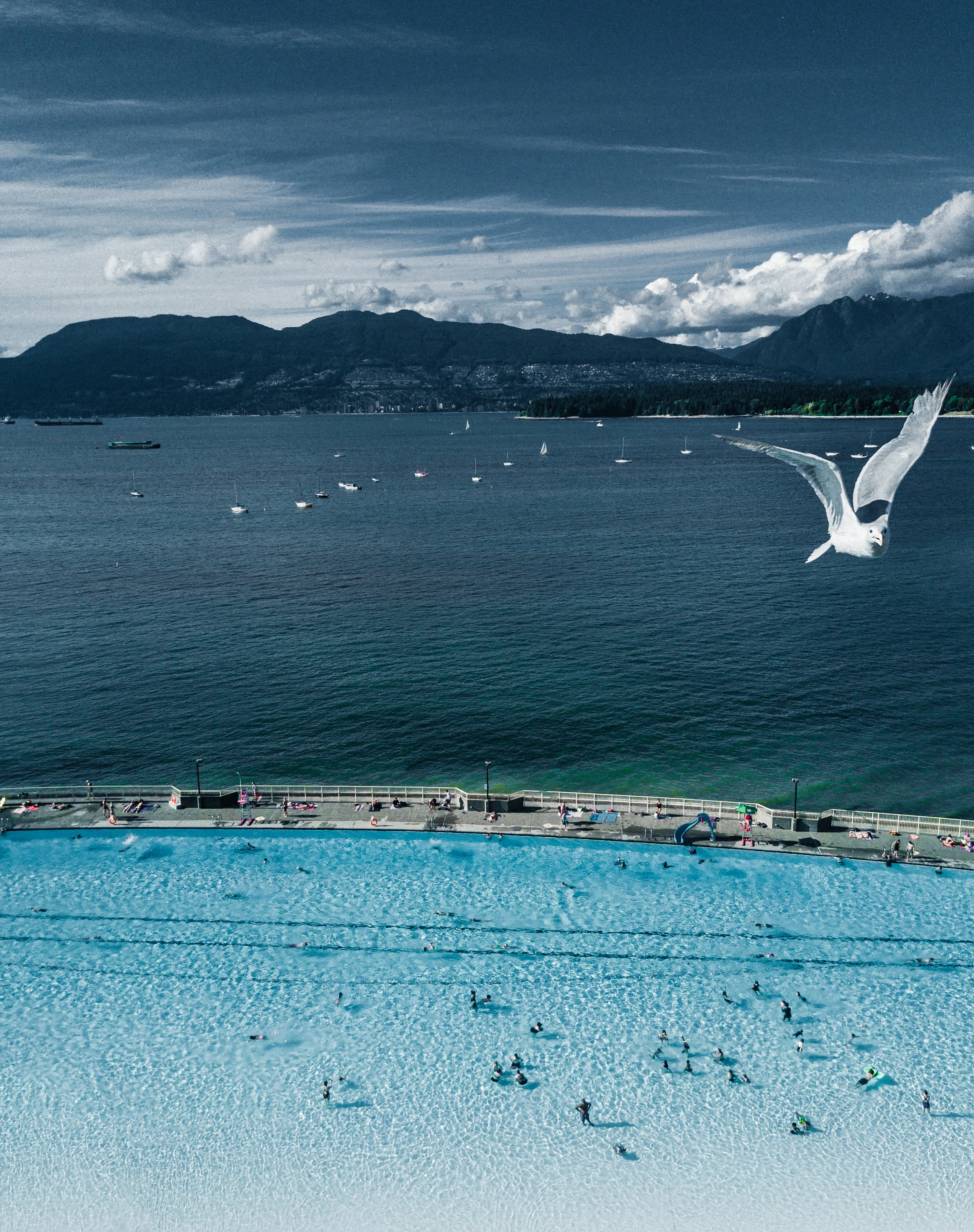 Kts_Pool_Vancouver-ESSILOR_Vancouver-DJI_0552.jpg