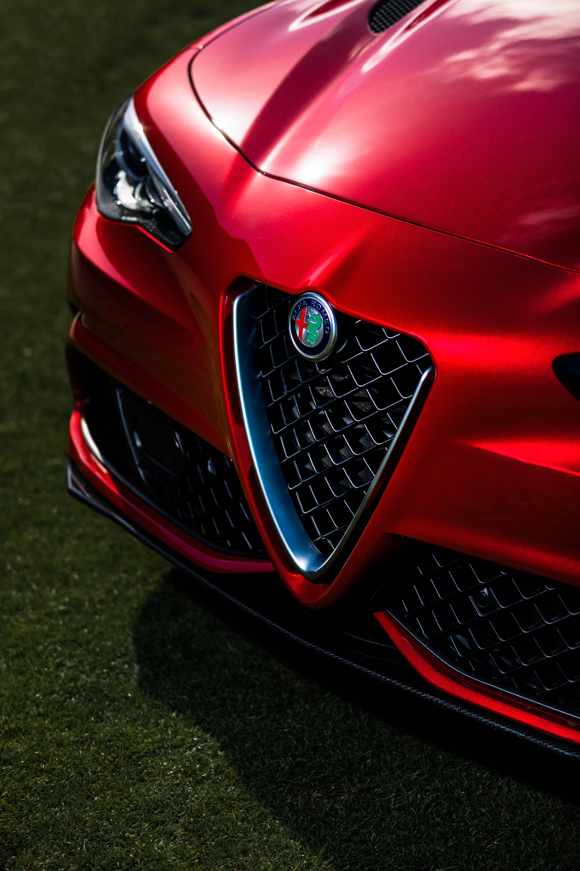 D1-01_Alfa_Canon_Poppy_GreenSG5D2401_wk2.JPG