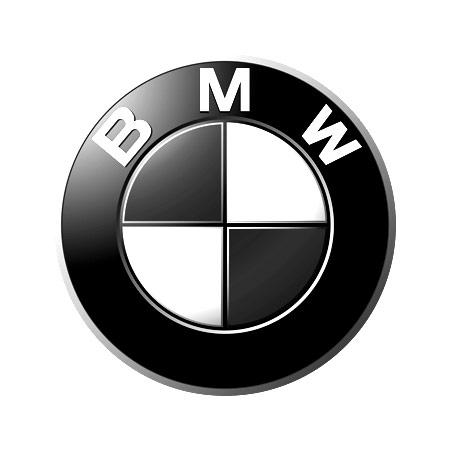 Saam_Gabbay_BMW_Logo_Project.jpg