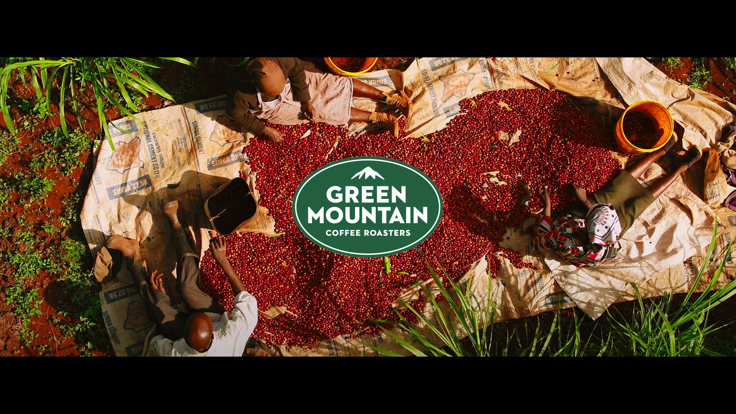 Green Mountain Coffee — Saam Gabbay