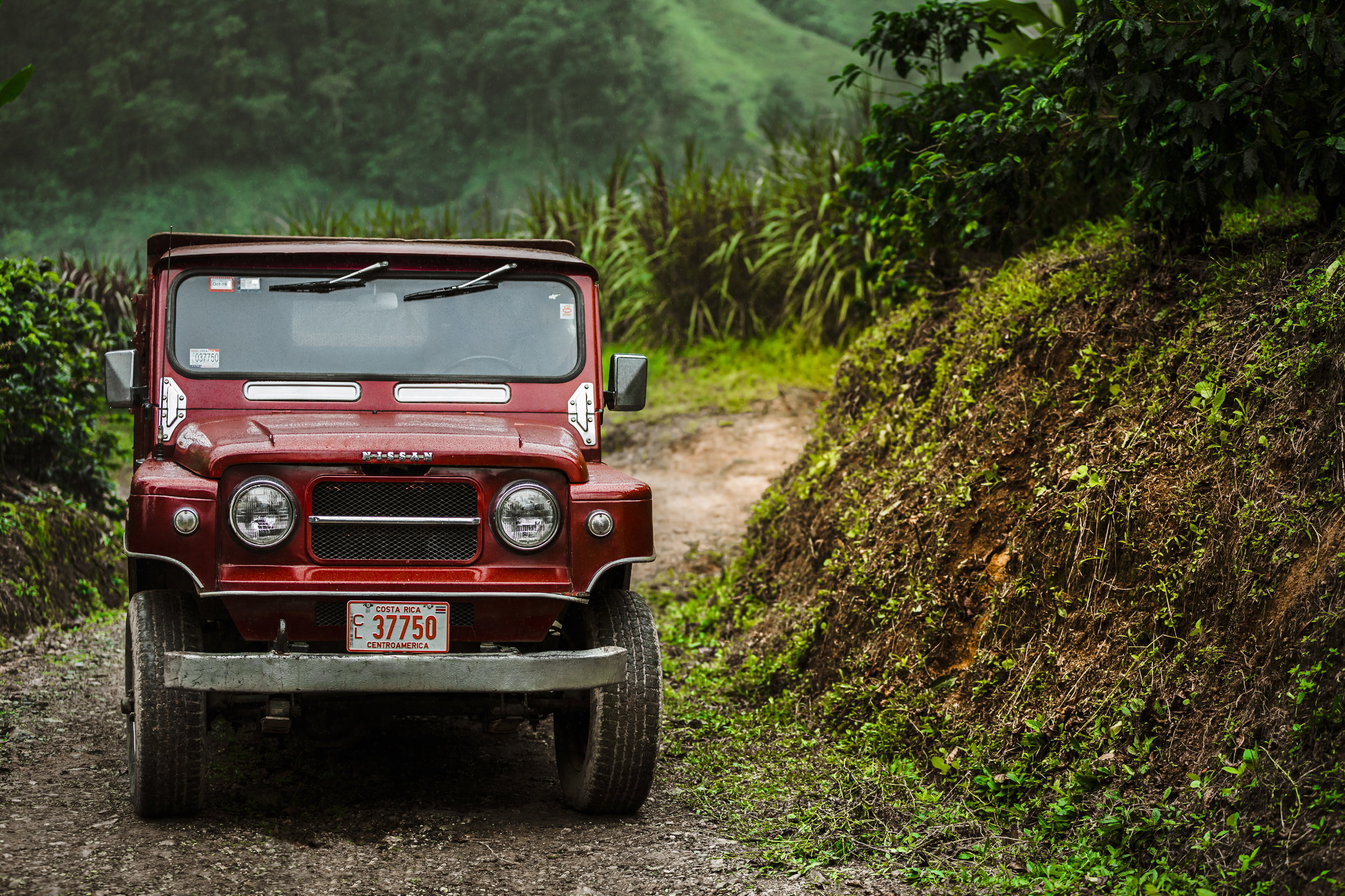 2018_GMCR_Costa_Rica_SAAM_D7_SG5D1831_f_190506.JPG