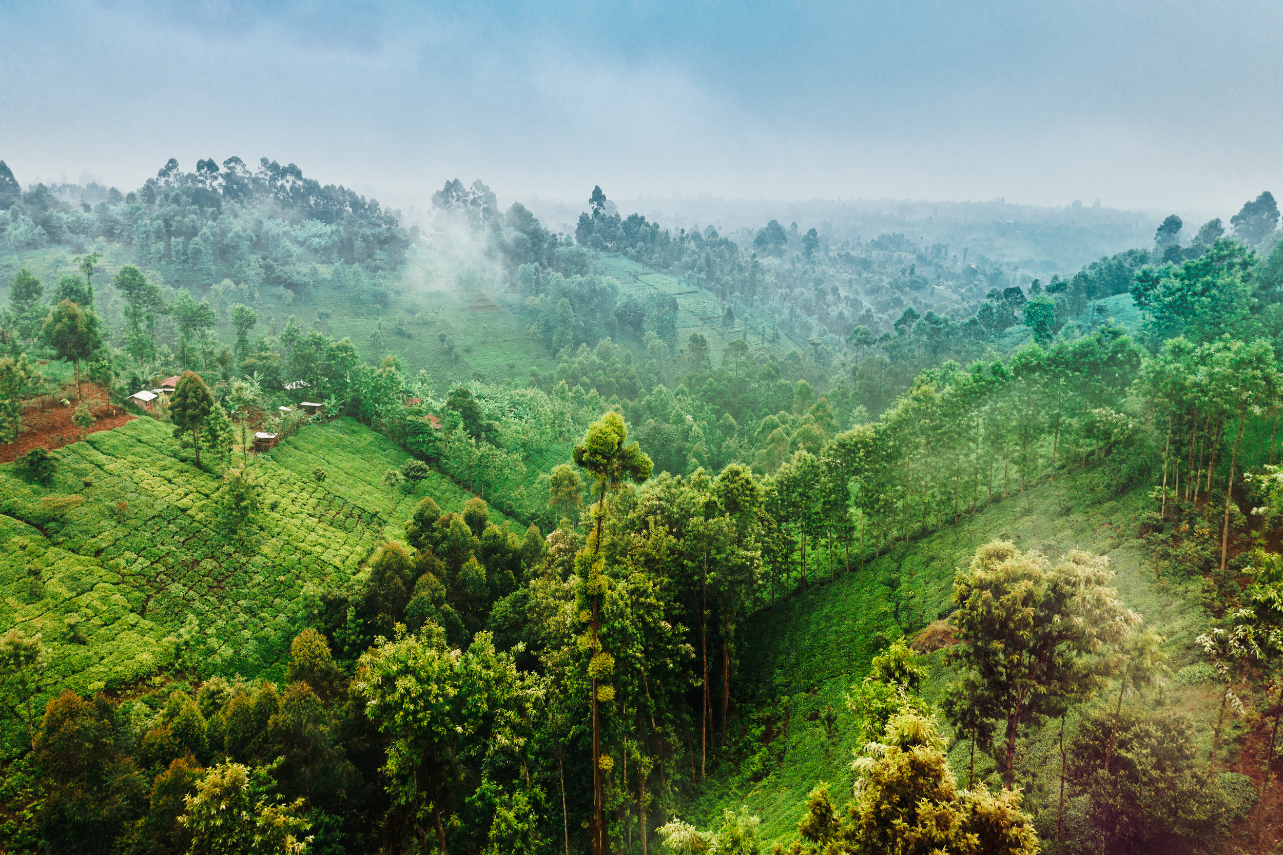 GMCR_KENYA_SAAM_D2_DJI_0410_f_190522.jpg