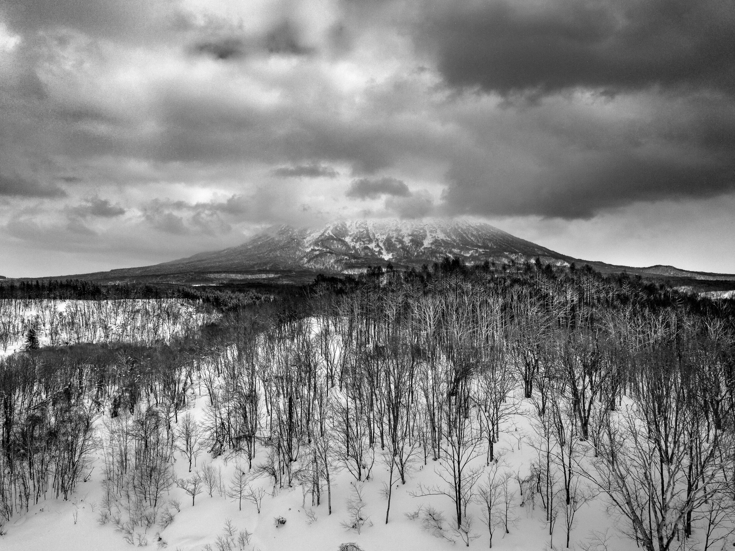2017_02_14_NISEKO_With_Crew_DJI_0359.jpg