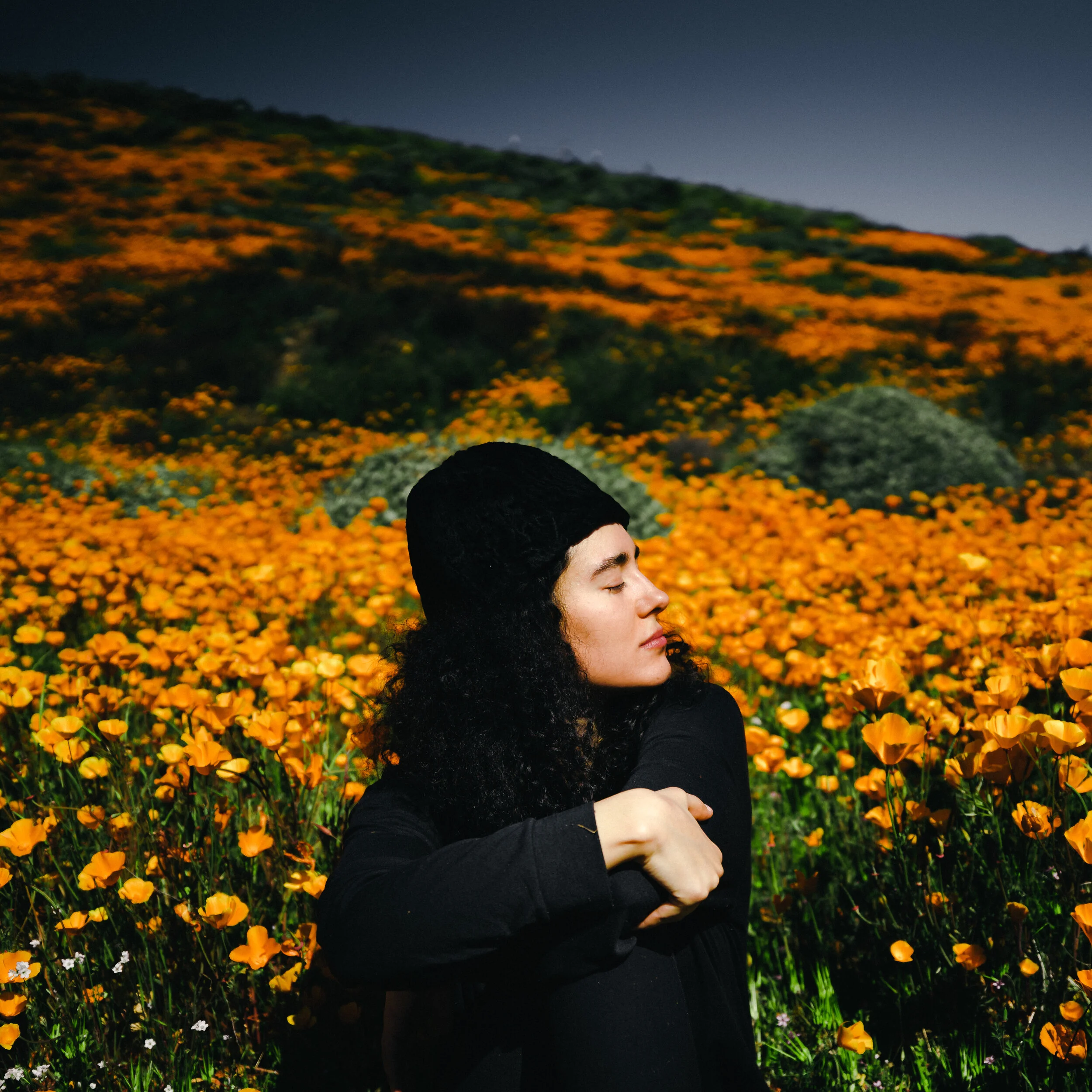 2019_03_16_Wildflower_Poppy_SuperBloom_Delaram___S_G4195.jpg