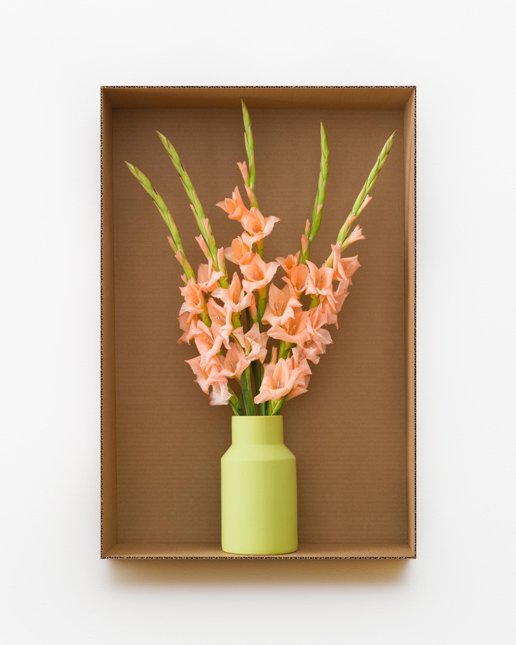 Gladiolas (Pistachio Green), 2023