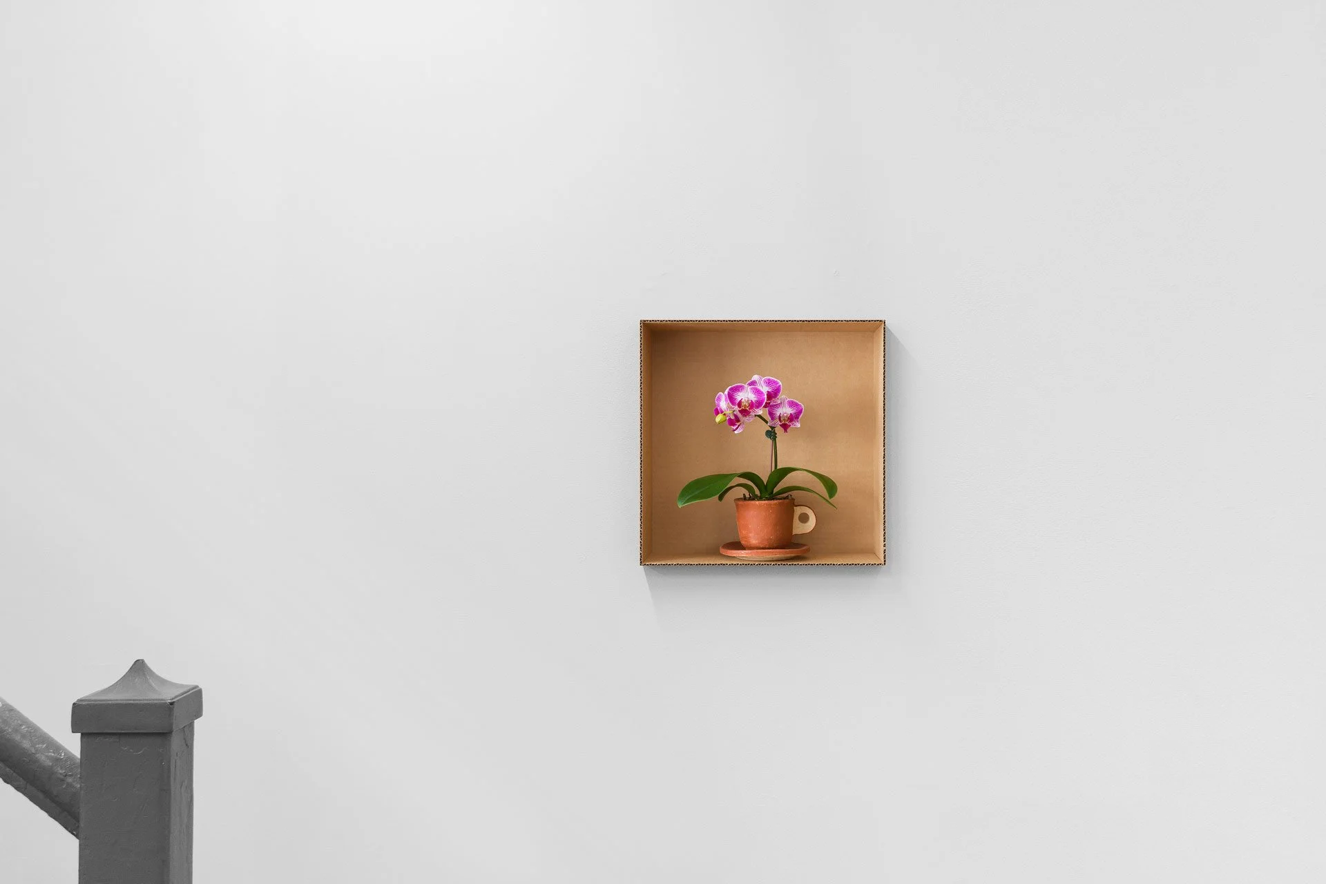 Handal_Engaños-Installation-9.jpg