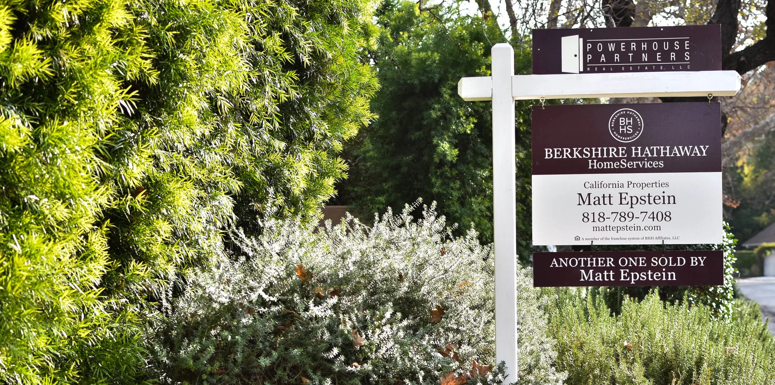 Matt Epstein Sold-1.jpg