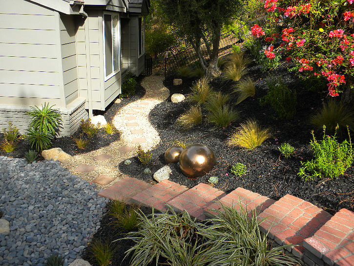 [Interview] Real Talk with Andrew of Greenscape Landscape + Design