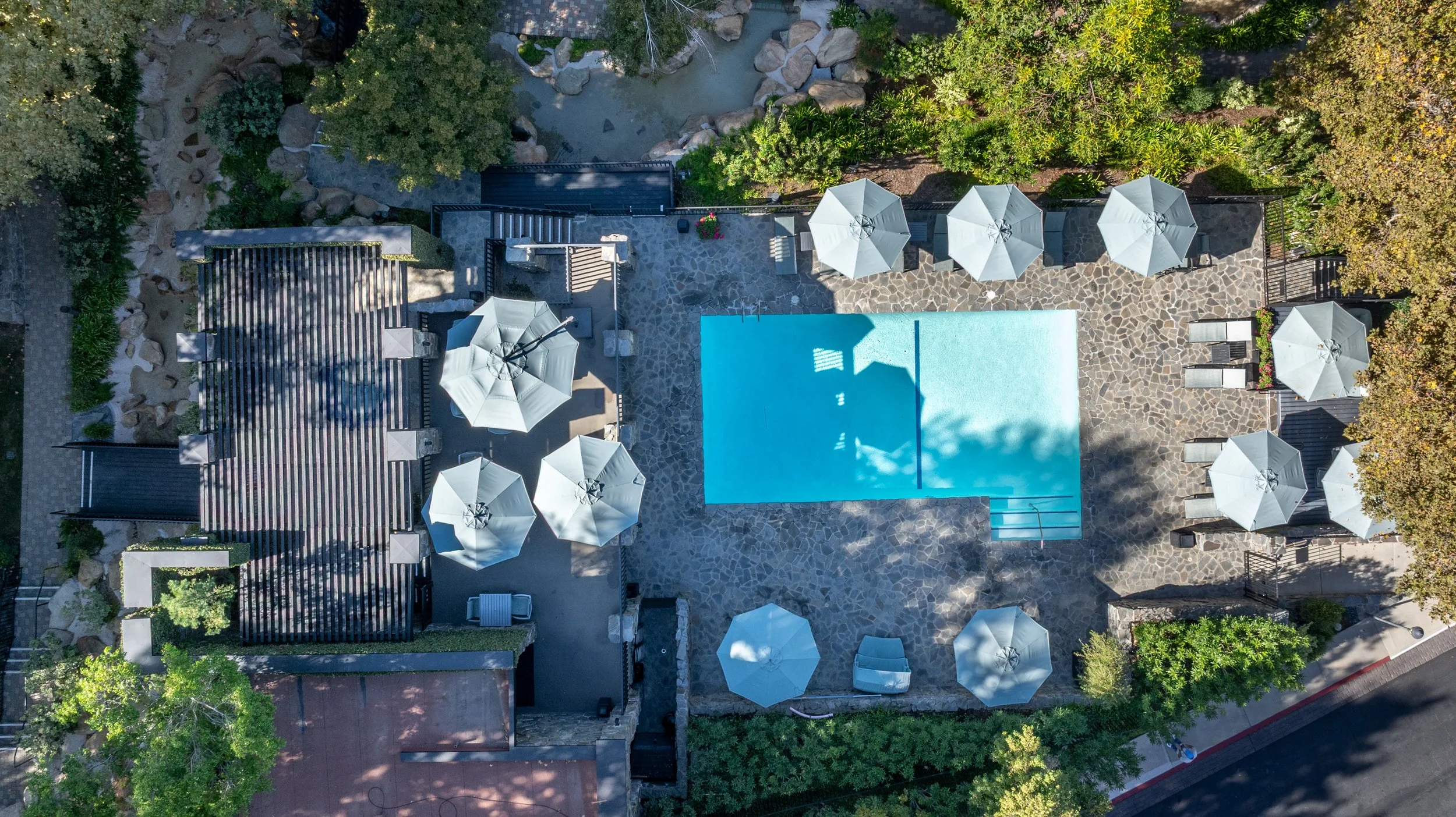 52    4774 Park Encino Ln #206.jpg