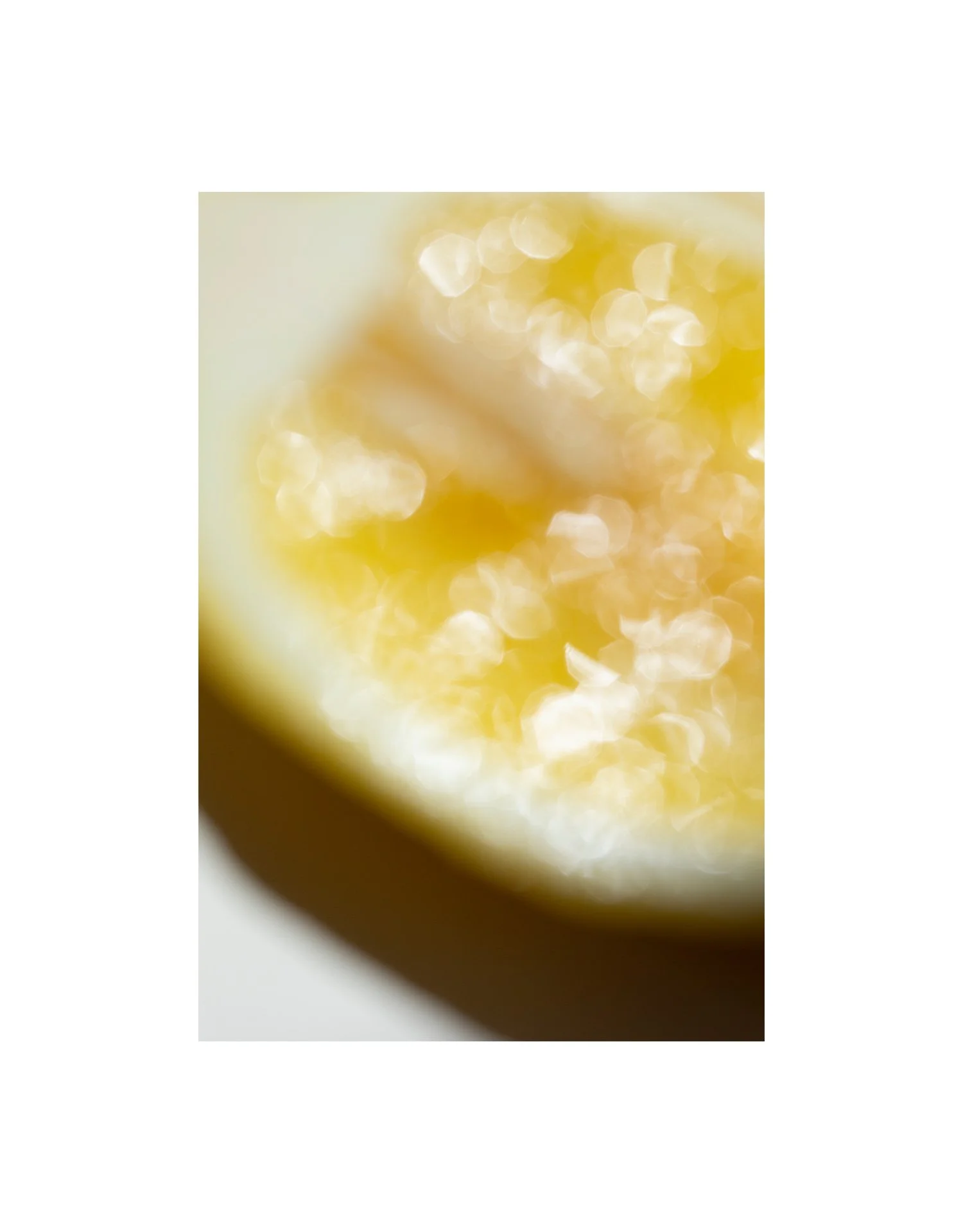LEMON.jpg
