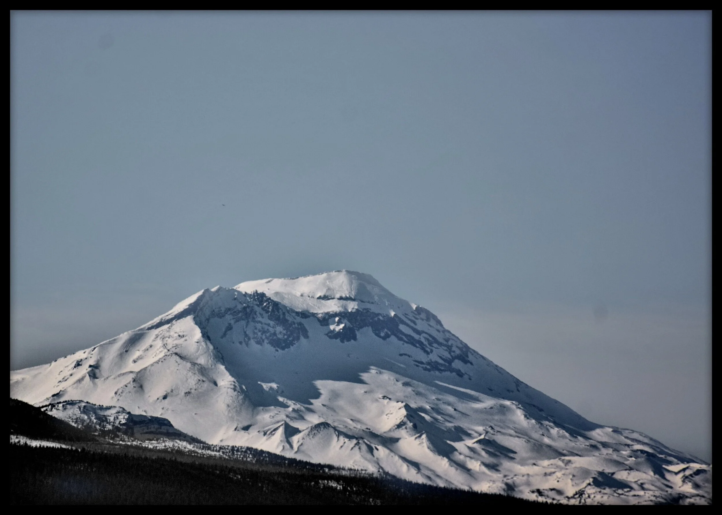processed_2020-11-16-11-54-03.jpg