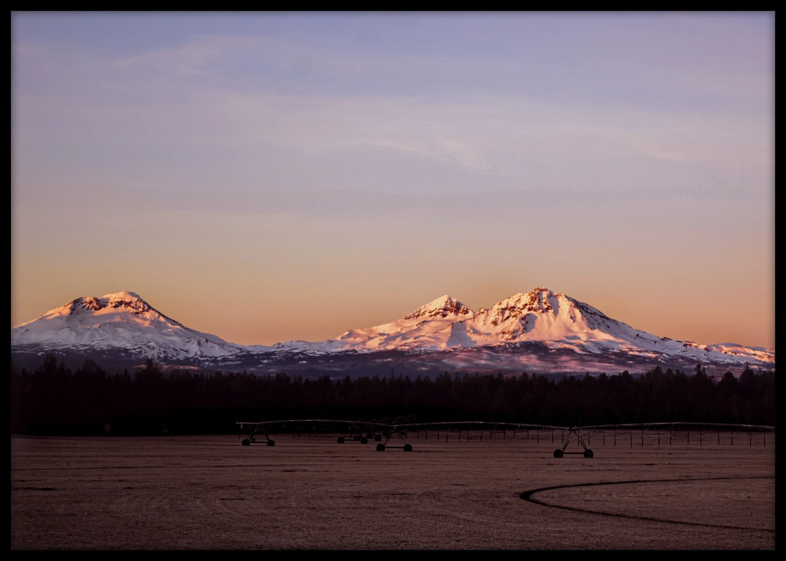 processed_2020-11-16-11-53-25.jpg