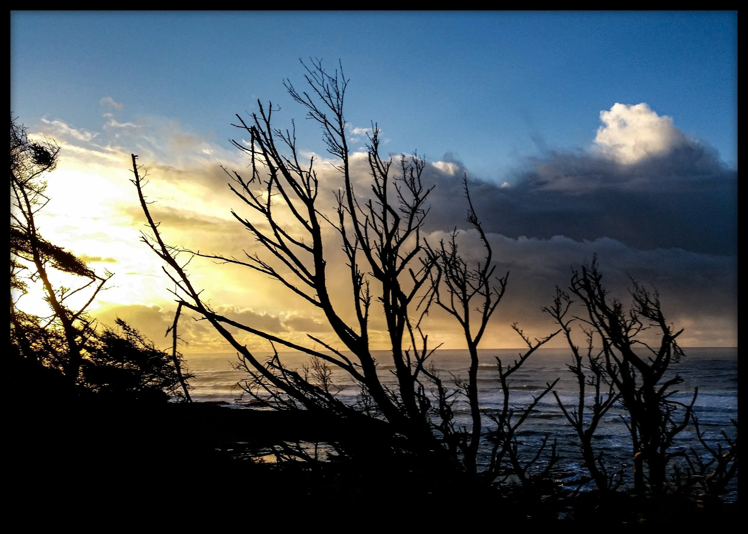 processed_2020-11-16-11-50-24.jpg