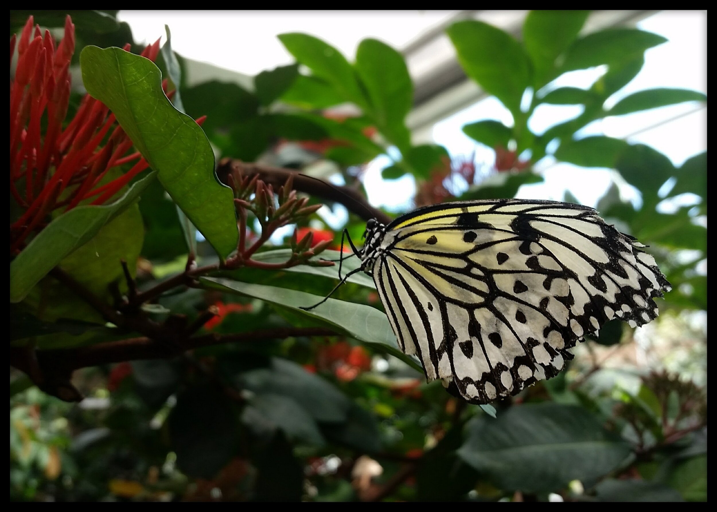 processed_2020-11-16-11-48-36.jpg
