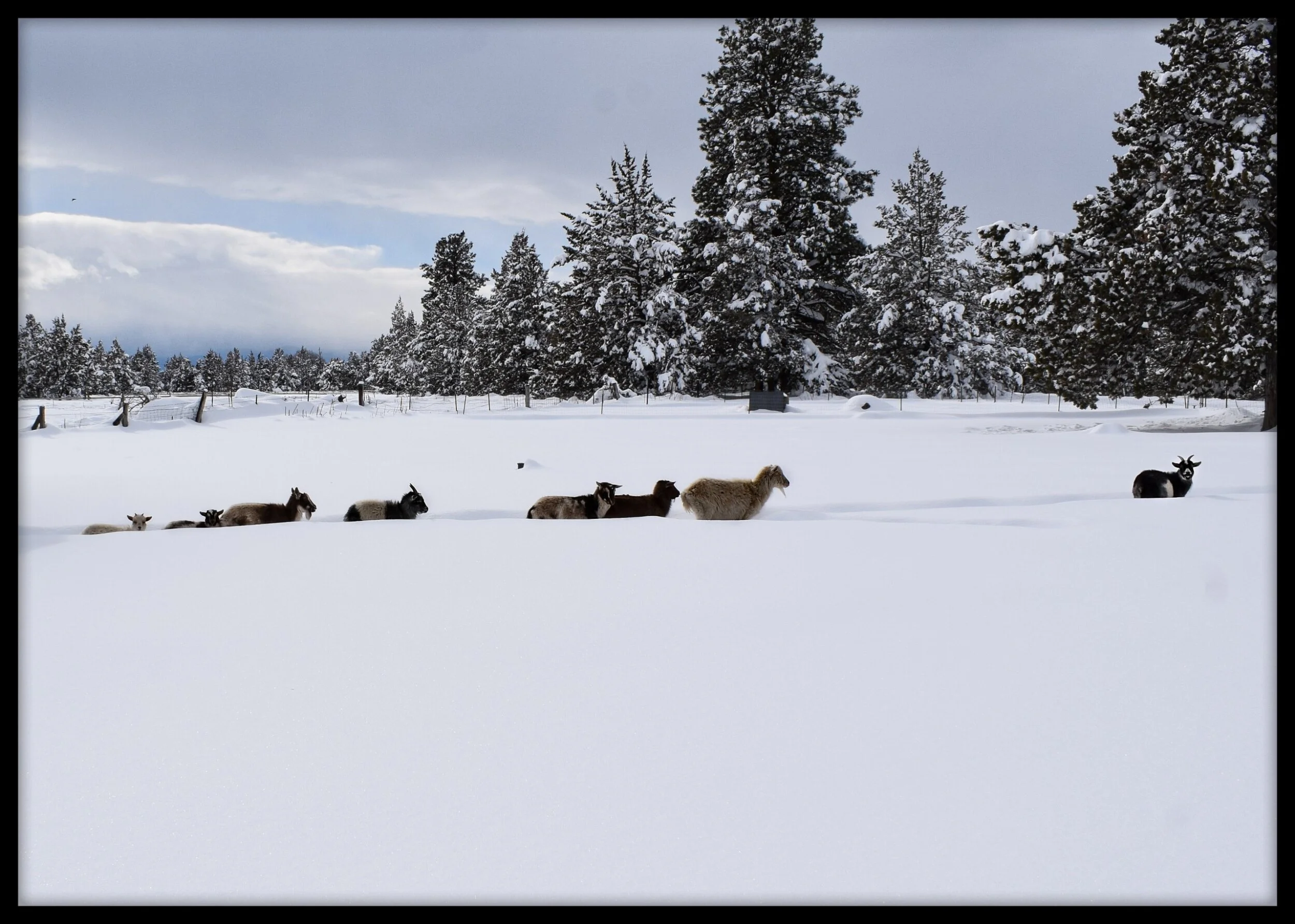processed_2020-11-16-11-51-56.jpg