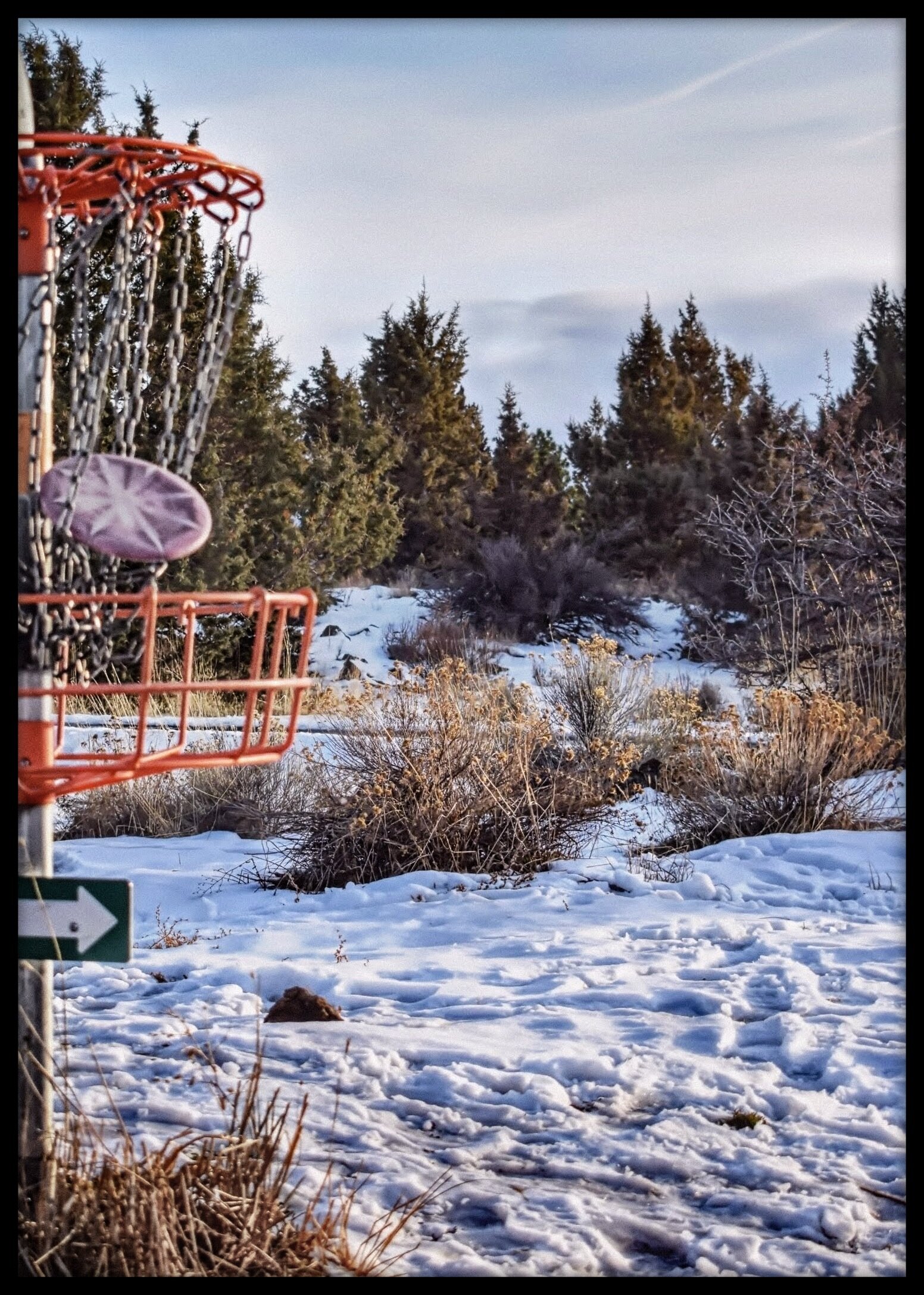 2021-01-24-14-03-11.jpg