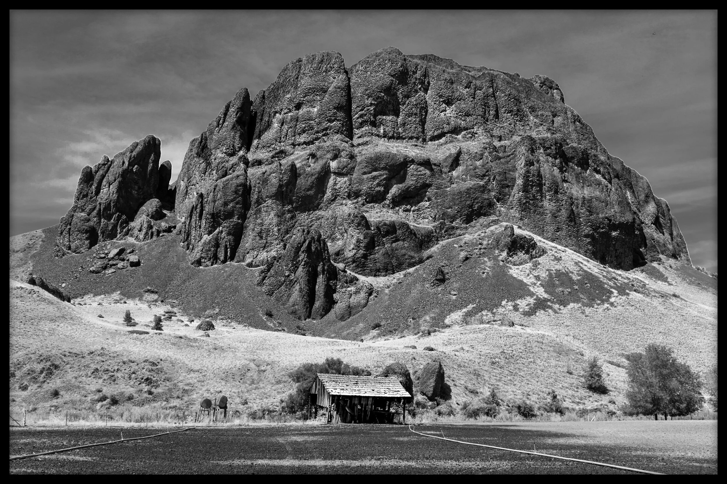  “My Exhibition Shot”  Photo displayed at Matca Gallery in Hanoi, Vietnam.  Exhibition dates: June 17-22, 2021    “Best of Black &amp; White”  Photo displayed at Valid World Hall in Barcelona, Spain  Exhibition dates: August 6-8, 2021 