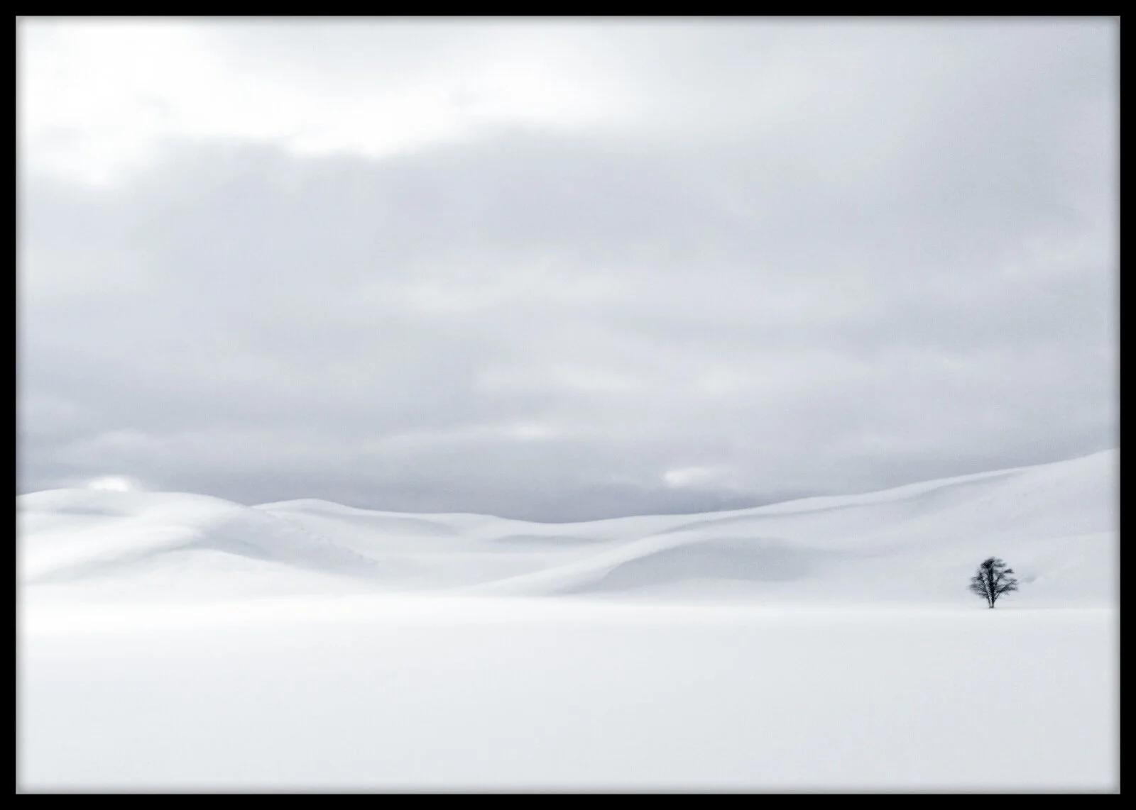  “Your Favorite Shot”  Photo displayed at Agora Gallery in New York City, New York.  Exhibition dates: February 11-13, 2021 