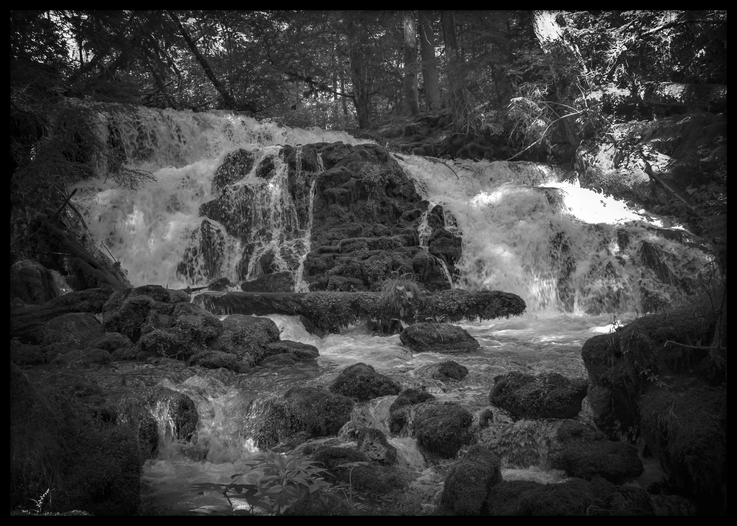  “Best of Black &amp; White"  Photo displayed at BSIDE Gallery in Melbourne, Australia  Exhibition dates: January 19-21, 2024 