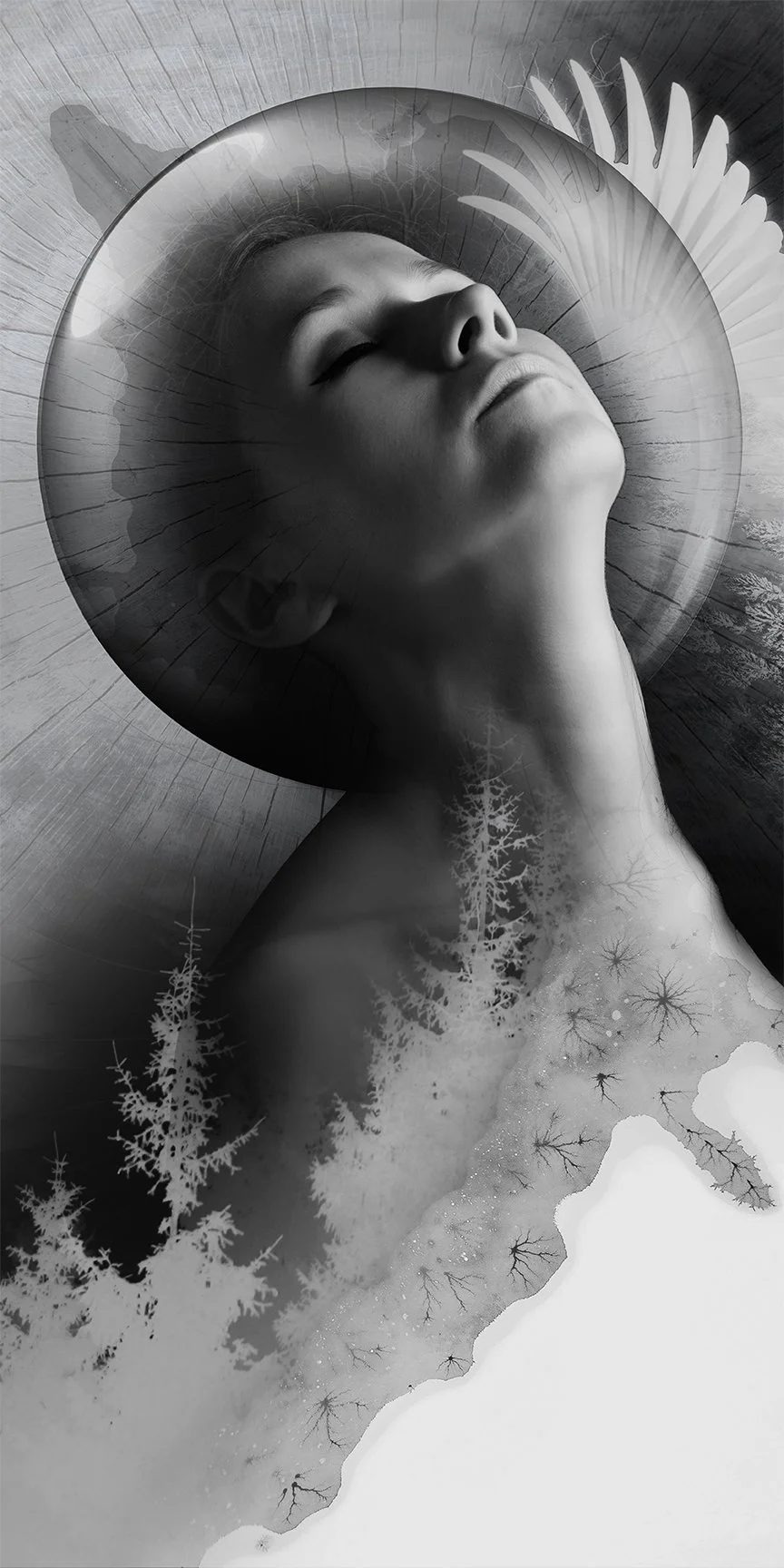 The Lucid Dreamer