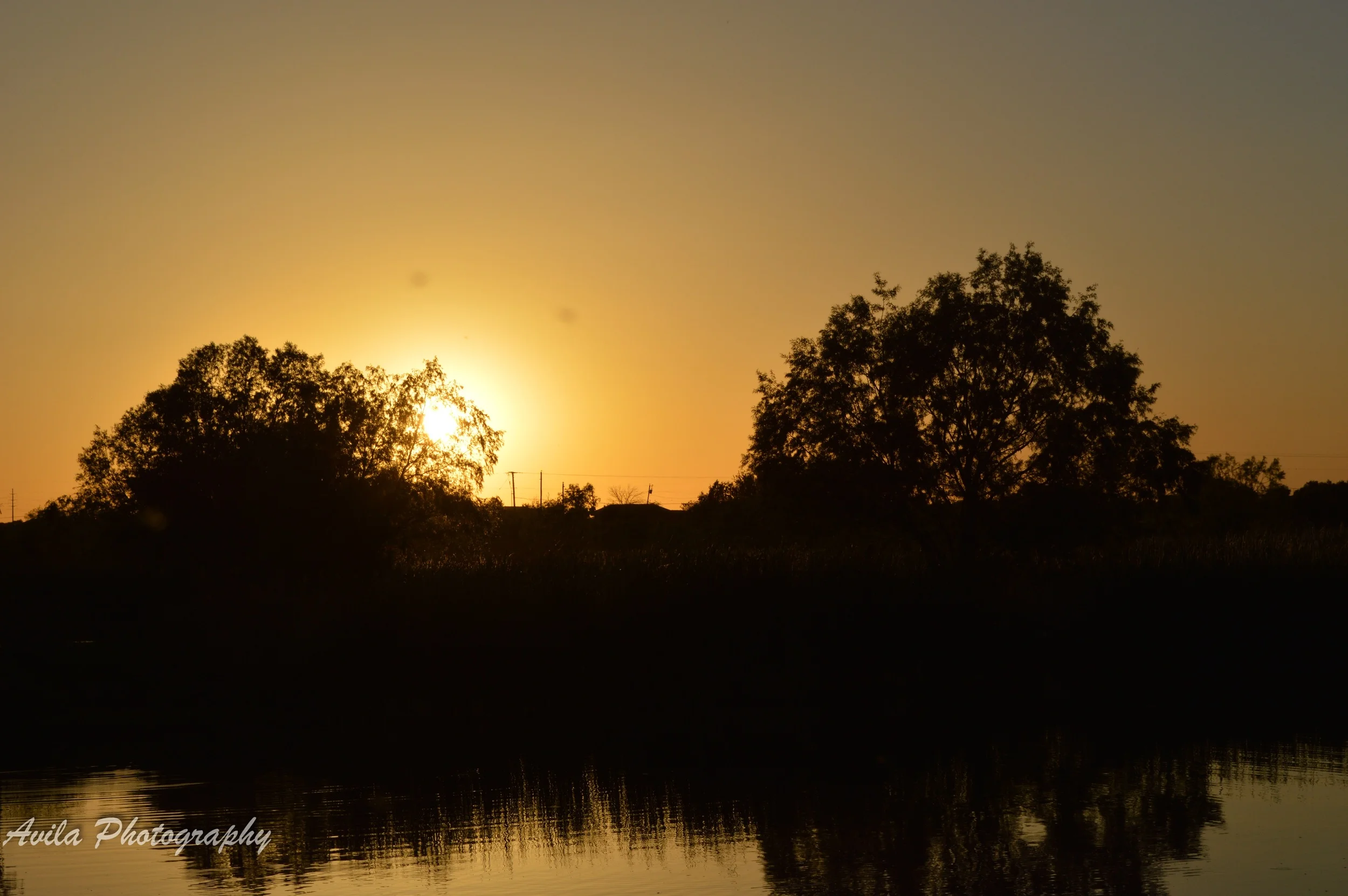DSC_1692.jpg