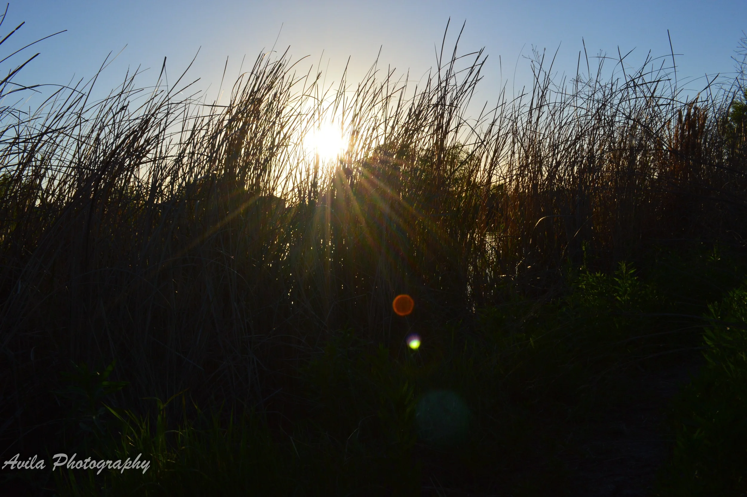 DSC_1666.jpg