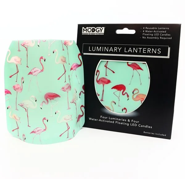 Flamingo1.jpg