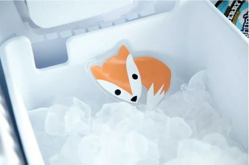 fox3.jpg