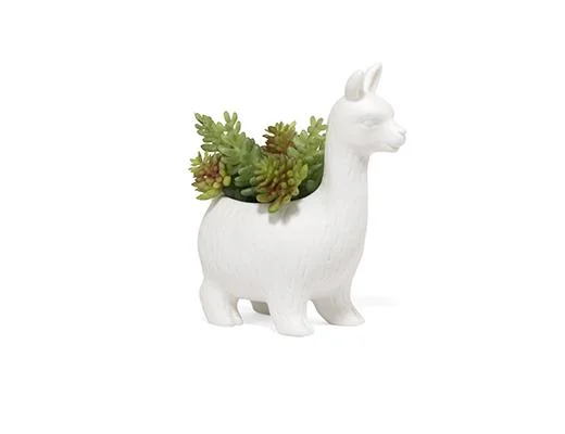 llamap1.jpg
