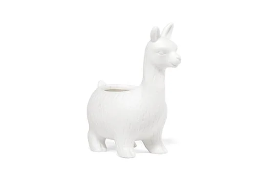 llamap2.jpg