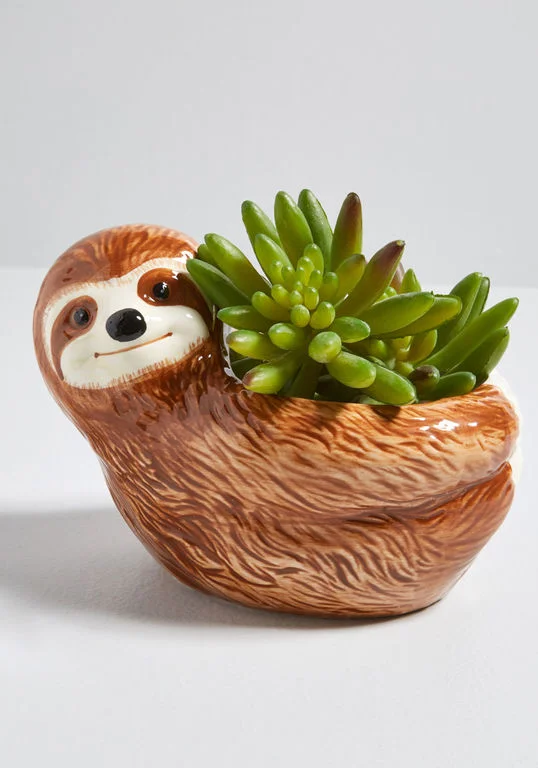 sloth1.jpg