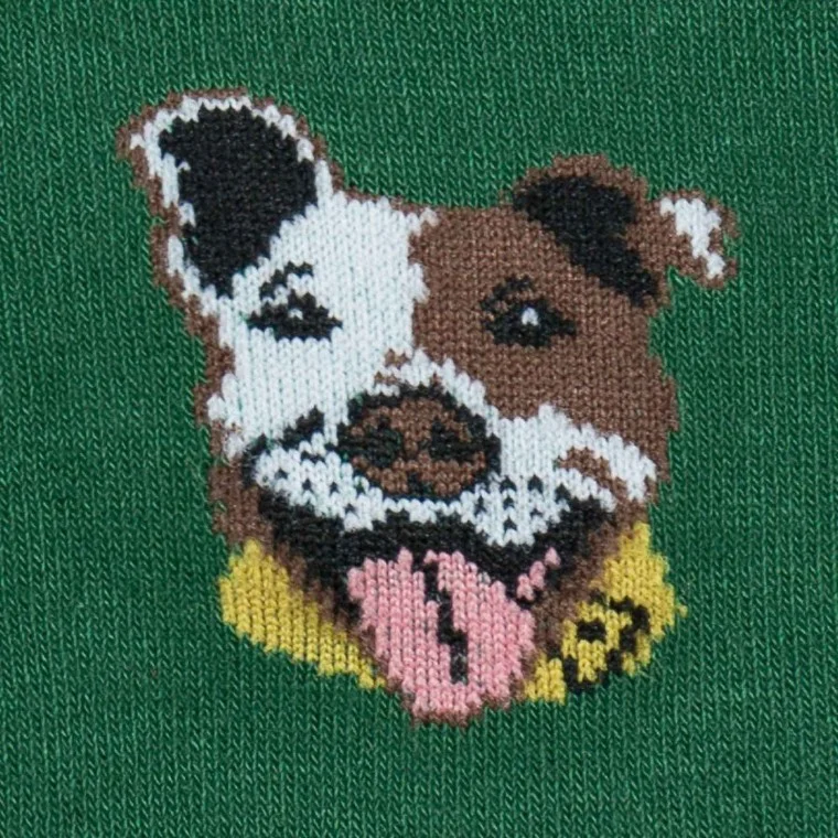 fetch2.jpg
