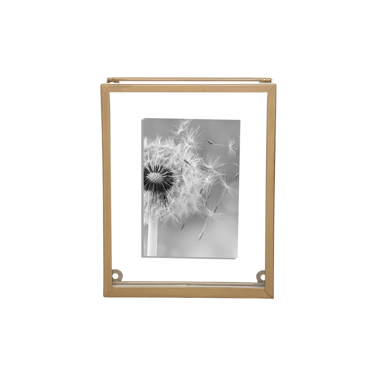 4x6floatframe1.jpg