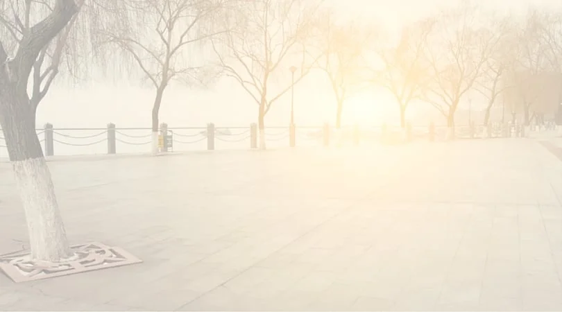 What You Need to Know About Vitamin D