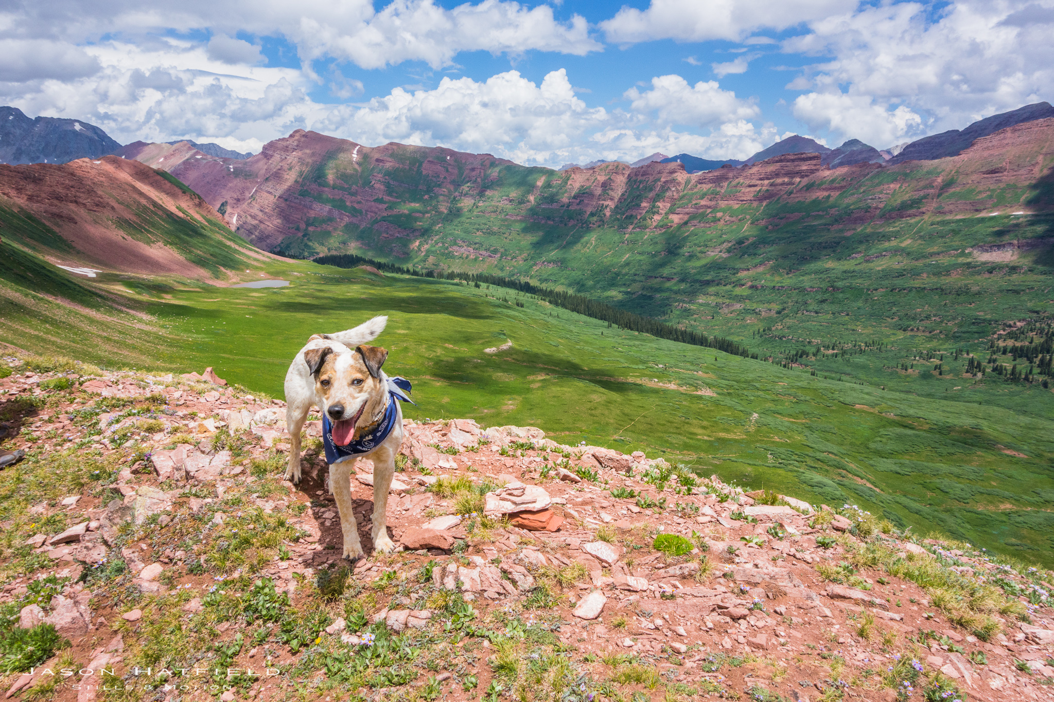 -This story is dedicated to the memory of my incredible companion and running partner, Sierra. 
