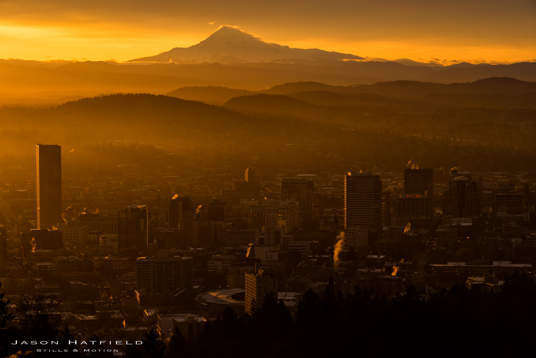Portland Magic