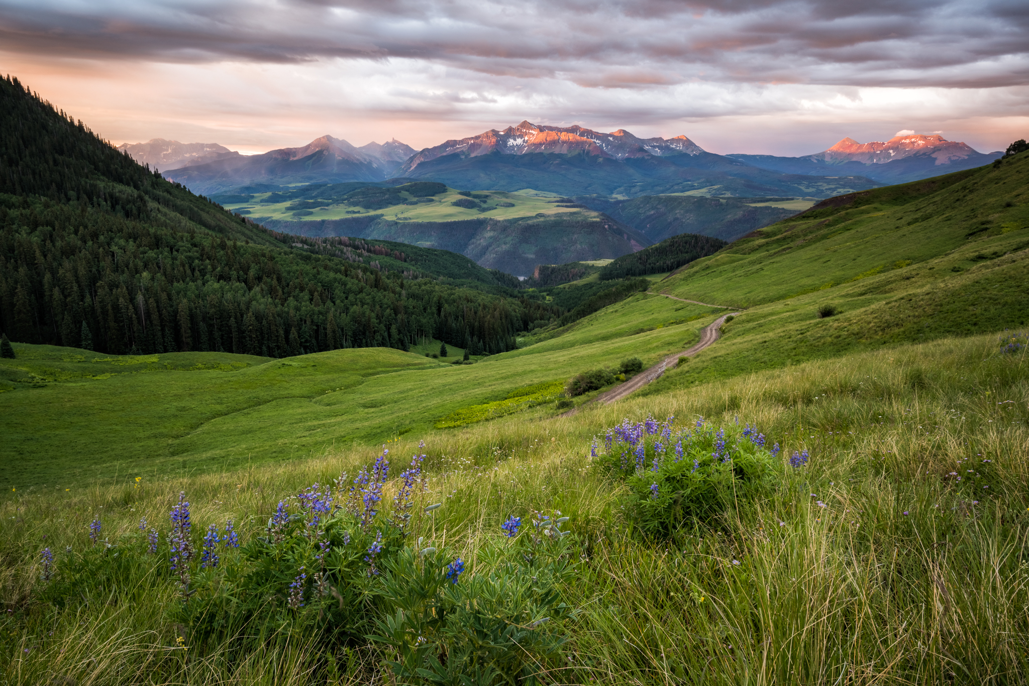 Wilson Peak Sunrise