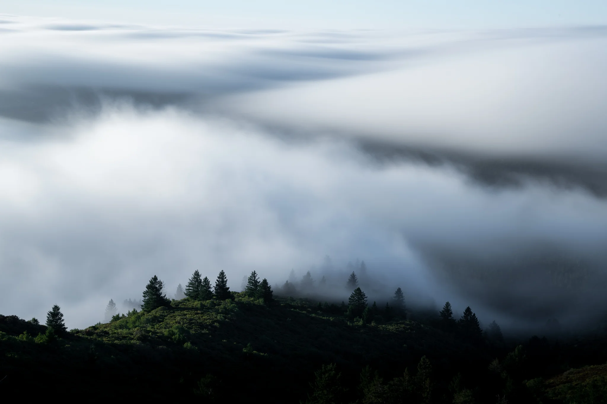 Mt Tam Fog _JJH1634.jpg