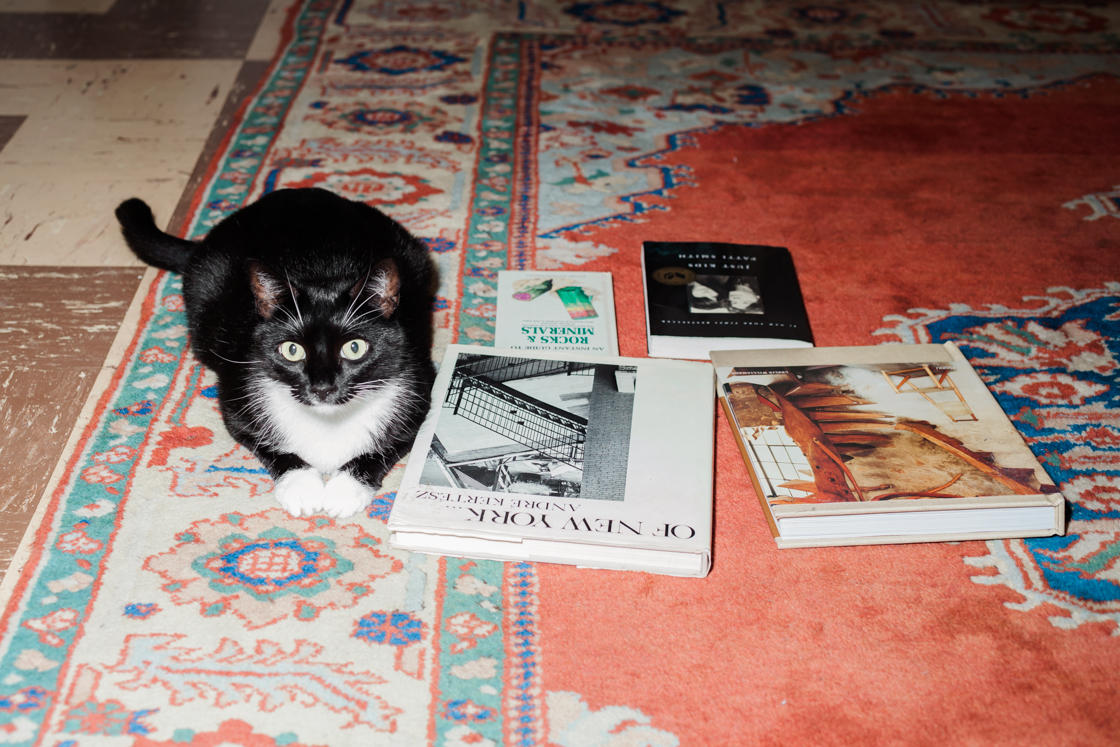 Jenna's favorite books