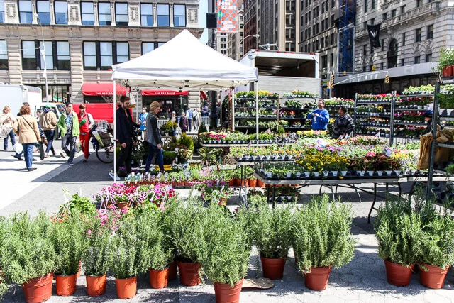 union-square-greenmarket-2215.jpg