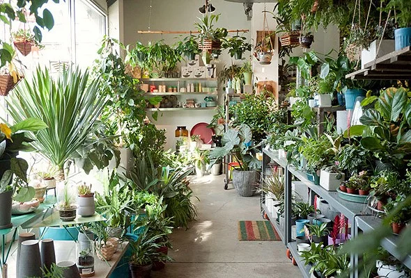 sprouthome-bc8f2bde.jpg