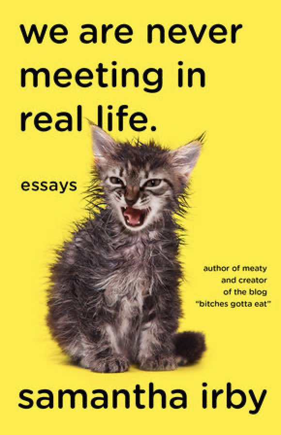 passerbuys+guide+essay+collections+samantha+irby+we+are+never+meeting+in+real+life