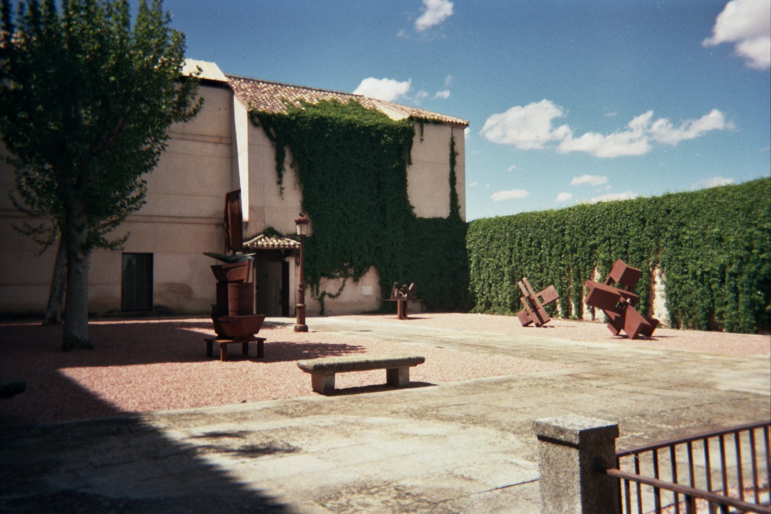 the garden at the roberto polo collection